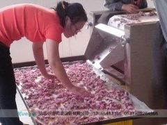微波,干燥,技術(shù),現(xiàn)在,各行各業(yè),都,需要,微波,