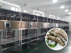 微波烘干設(shè)備